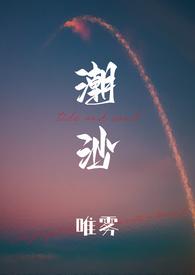 潮沙(1v1)无弹窗 在线阅读