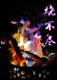 烧不尽utopia