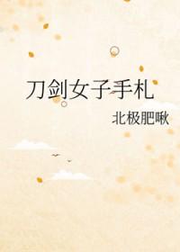 综刀剑np