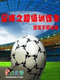 足球之超级球探系统