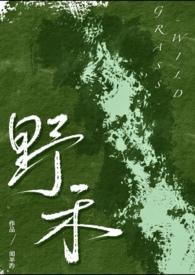 经典的伪兄妹推荐