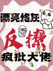 漂亮炮灰谁攻