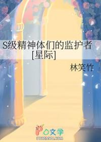 S级精神体们的监护者