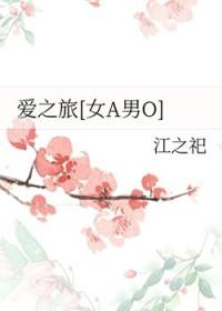 爱之旅歌词是什么意思