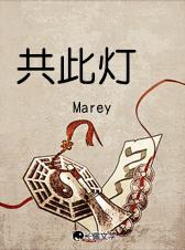 共此灯txt