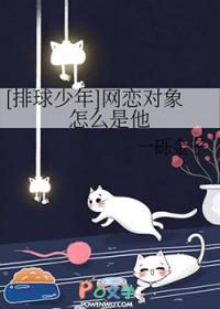 排球少年爱情