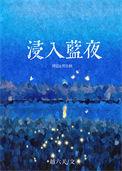 浸入蓝夜TXT资源