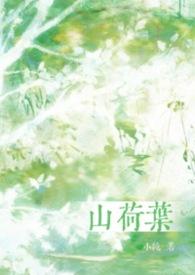 山荷叶花精灵