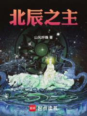 北辰之主TXT