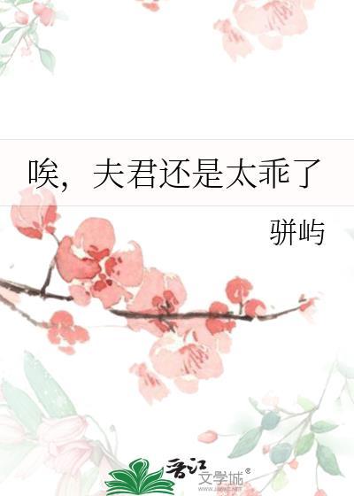 夫君太坏不是错在线阅读