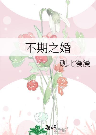 不期之婚免费阅读