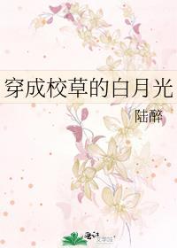 穿成校草白月光穿书