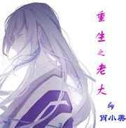 重生老大短剧免费观看