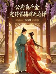 公府娇妾