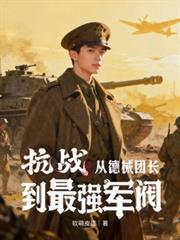 抗战时期的德械师