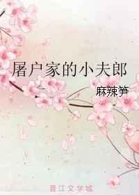 屠户家的小夫郎米酒蛋汤