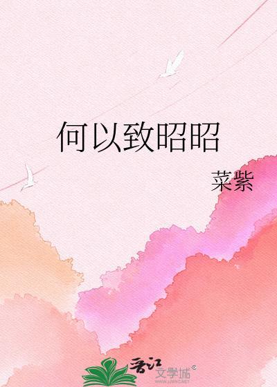 何以致昭昭txt百度