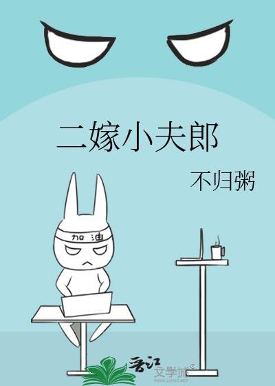 二嫁小夫郎txt