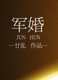 军婚高干文