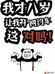 让我开网约车这对吗?萧诧折花