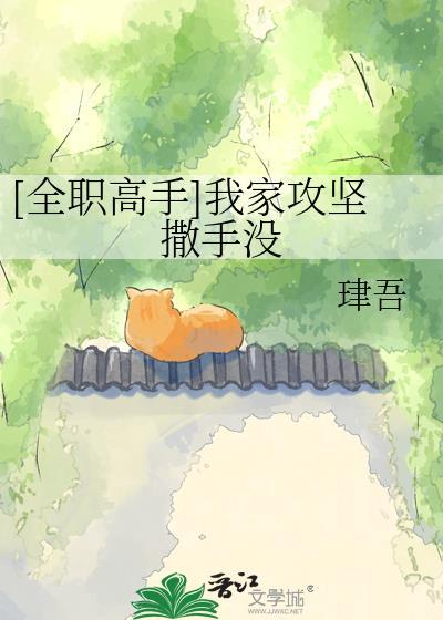 主攻全职高手