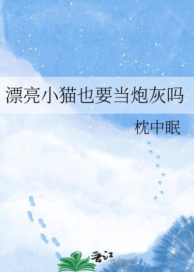 漂亮小猫就应该被娇宠