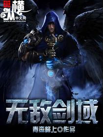 无敌剑域境界等级划分