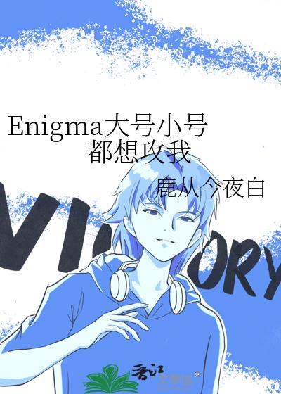 Enigma大号小号都想攻我